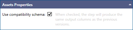 BI Asset Levels Compatibility Schema Option